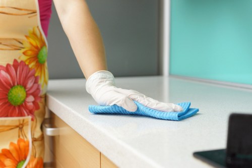 Professional pet stain odour removal in a Noak Hill home carpet