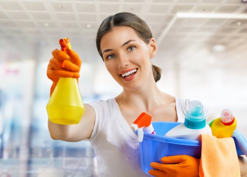 Technician performing deep sofa cleaning in Noak Hill