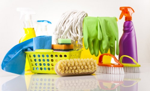 Carpet odour neutralisation for pet accidents in Noak Hill