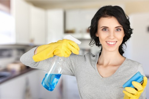 Professional carpet cleaning removing dirt from fibres