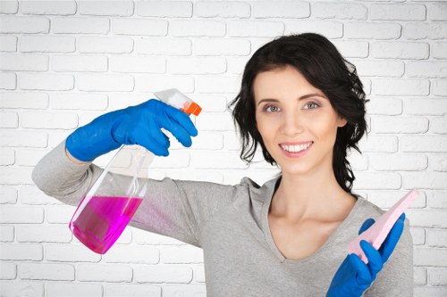 Professional carpet cleaning equipment used in a Noak Hill home