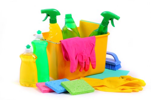Mattress cleaning equipment used in Noak Hill homes